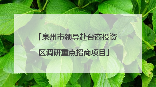 泉州市领导赴台商投资区调研重点招商项目