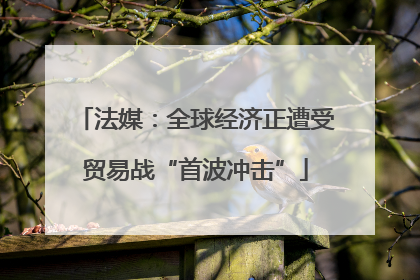 法媒：全球经济正遭受贸易战“首波冲击”