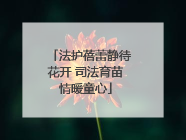法护蓓蕾静待花开 司法育苗情暖童心
