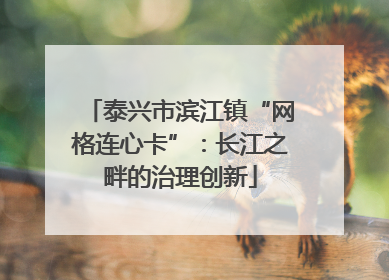 泰兴市滨江镇“网格连心卡”：长江之畔的治理创新