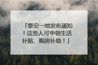 泰安一地发布通知！这些人可申领生活补贴、购房补助！