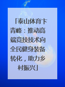泰山体育卞青峰：推动高端竞技技术向全民健身装备转化，助力乡村振兴