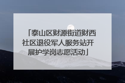 泰山区财源街道财西社区退役军人服务站开展护学岗志愿活动