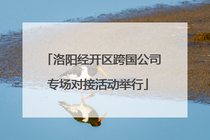洛阳经开区跨国公司专场对接活动举行