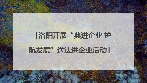 洛阳开展“典进企业 护航发展”送法进企业活动