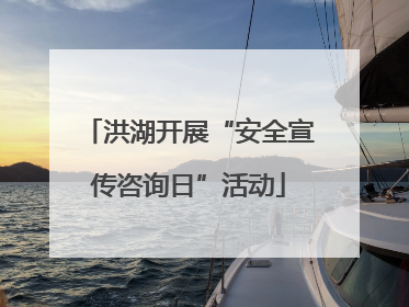 洪湖开展“安全宣传咨询日”活动