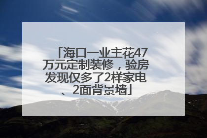 海口一业主花47万元定制装修，验房发现仅多了2样家电、2面背景墙
