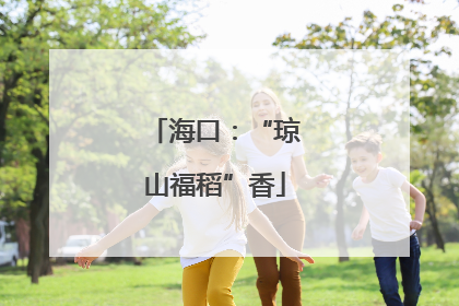 海口：“琼山福稻”香