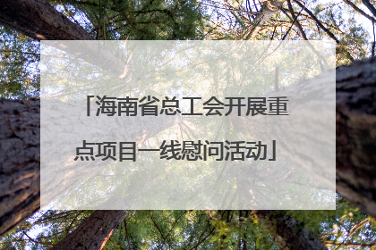海南省总工会开展重点项目一线慰问活动