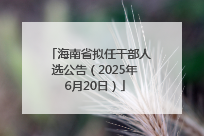 海南省拟任干部人选公告（2025年6月20日）