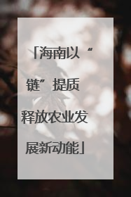 海南以“链”提质 释放农业发展新动能