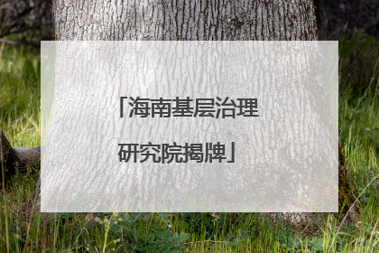 海南基层治理研究院揭牌