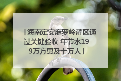 海南定安麻罗岭灌区通过关键验收 年节水199万方惠及十万人