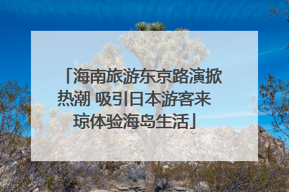海南旅游东京路演掀热潮 吸引日本游客来琼体验海岛生活