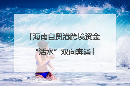 海南自贸港跨境资金“活水”双向奔涌