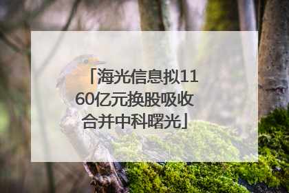 海光信息拟1160亿元换股吸收合并中科曙光