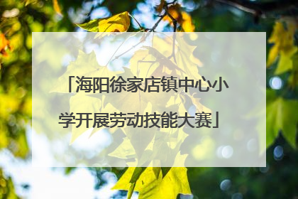 海阳徐家店镇中心小学开展劳动技能大赛