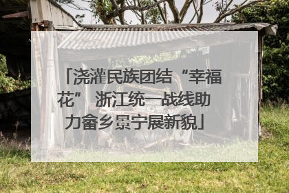 浇灌民族团结“幸福花” 浙江统一战线助力畲乡景宁展新貌