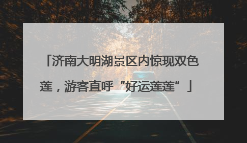 济南大明湖景区内惊现双色莲，游客直呼“好运莲莲”