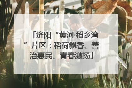 济阳“黄河·稻乡湾”片区：稻荷飘香、善治惠民、青春激扬