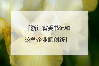 浙江省委书记和这些企业聊创新