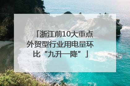 浙江前10大重点外贸型行业用电量环比“九升一降”
