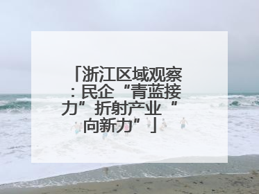 浙江区域观察：民企“青蓝接力”折射产业“向新力”