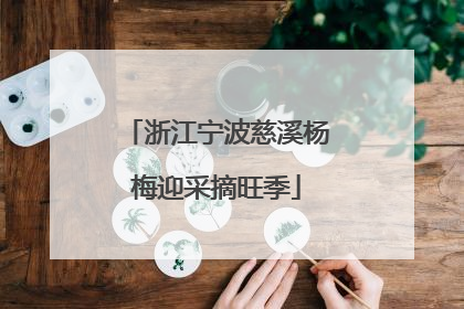 浙江宁波慈溪杨梅迎采摘旺季