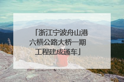 浙江宁波舟山港六横公路大桥一期工程建成通车