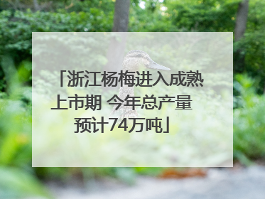 浙江杨梅进入成熟上市期 今年总产量预计74万吨