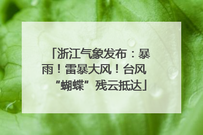 浙江气象发布：暴雨！雷暴大风！台风“蝴蝶”残云抵达