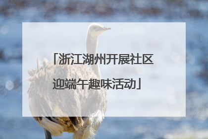 浙江湖州开展社区迎端午趣味活动