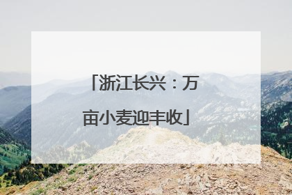 浙江长兴：万亩小麦迎丰收