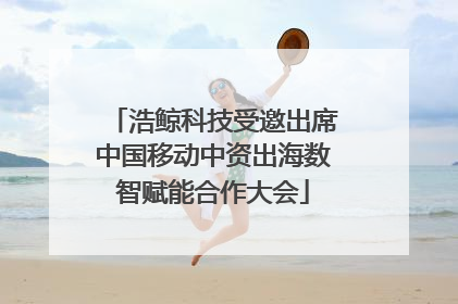 浩鲸科技受邀出席中国移动中资出海数智赋能合作大会