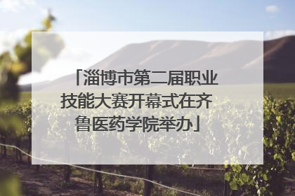 淄博市第二届职业技能大赛开幕式在齐鲁医药学院举办