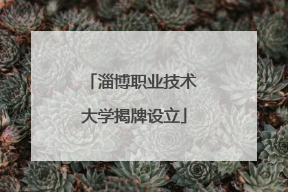 淄博职业技术大学揭牌设立