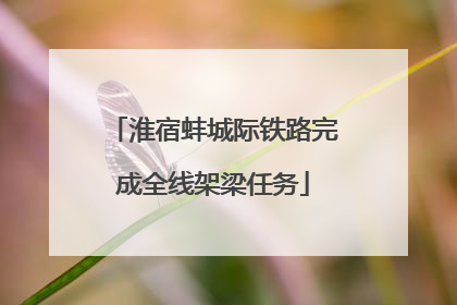 淮宿蚌城际铁路完成全线架梁任务