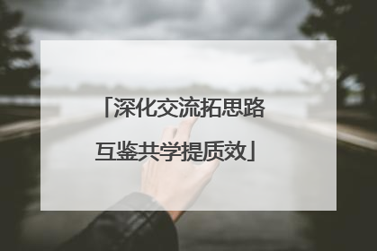 深化交流拓思路 互鉴共学提质效