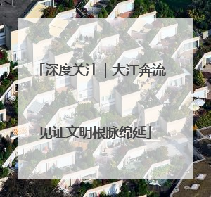 深度关注｜大江奔流见证文明根脉绵延