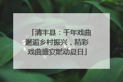 清丰县：千年戏曲邂逅乡村振兴，精彩戏曲盛宴燃动夏日