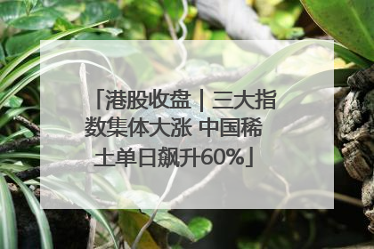 港股收盘｜三大指数集体大涨 中国稀土单日飙升60%
