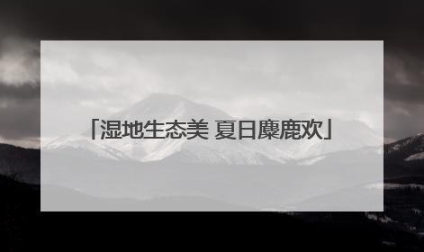 湿地生态美 夏日麋鹿欢