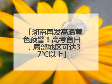 湖南再发高温黄色预警！高考首日，局部地区可达37℃以上
