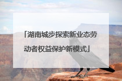湖南城步探索新业态劳动者权益保护新模式