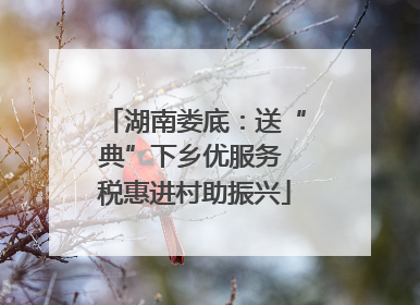 湖南娄底：送“典”下乡优服务 税惠进村助振兴