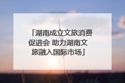 湖南成立文旅消费促进会 助力湖南文旅融入国际市场