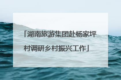 湖南旅游集团赴杨家坪村调研乡村振兴工作