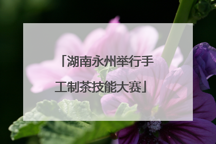 湖南永州举行手工制茶技能大赛