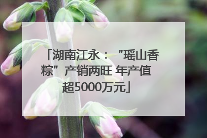 湖南江永：“瑶山香粽”产销两旺 年产值超5000万元