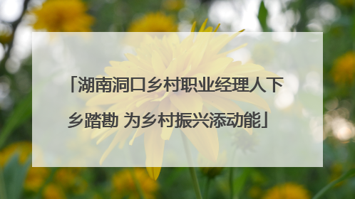 湖南洞口乡村职业经理人下乡踏勘 为乡村振兴添动能